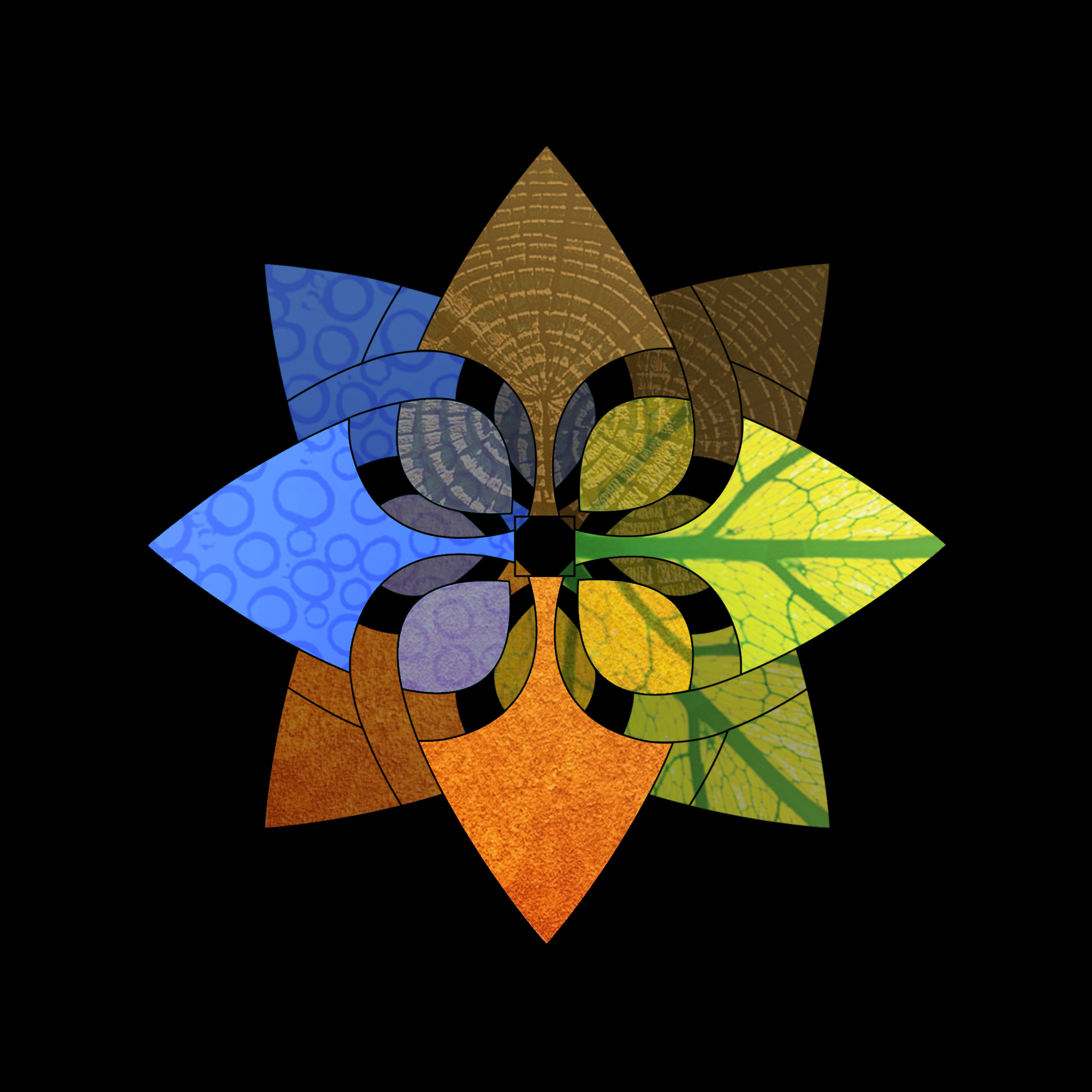 New Logo BLACK LINES &amp; BLACK BACKGROUND